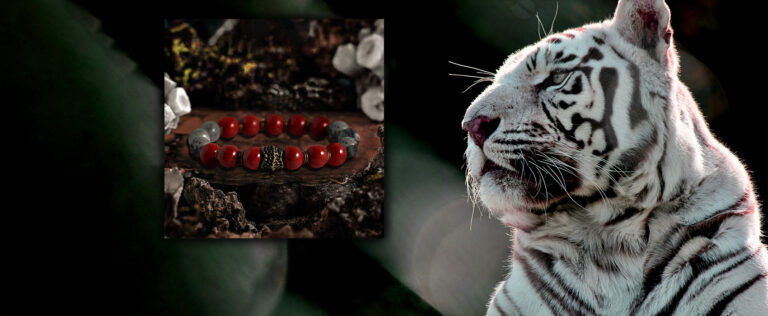 Power of the White Tiger: Mysterious Guardian