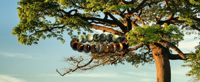 Harness the Power of Wood - Growth, Strength, and Vitality