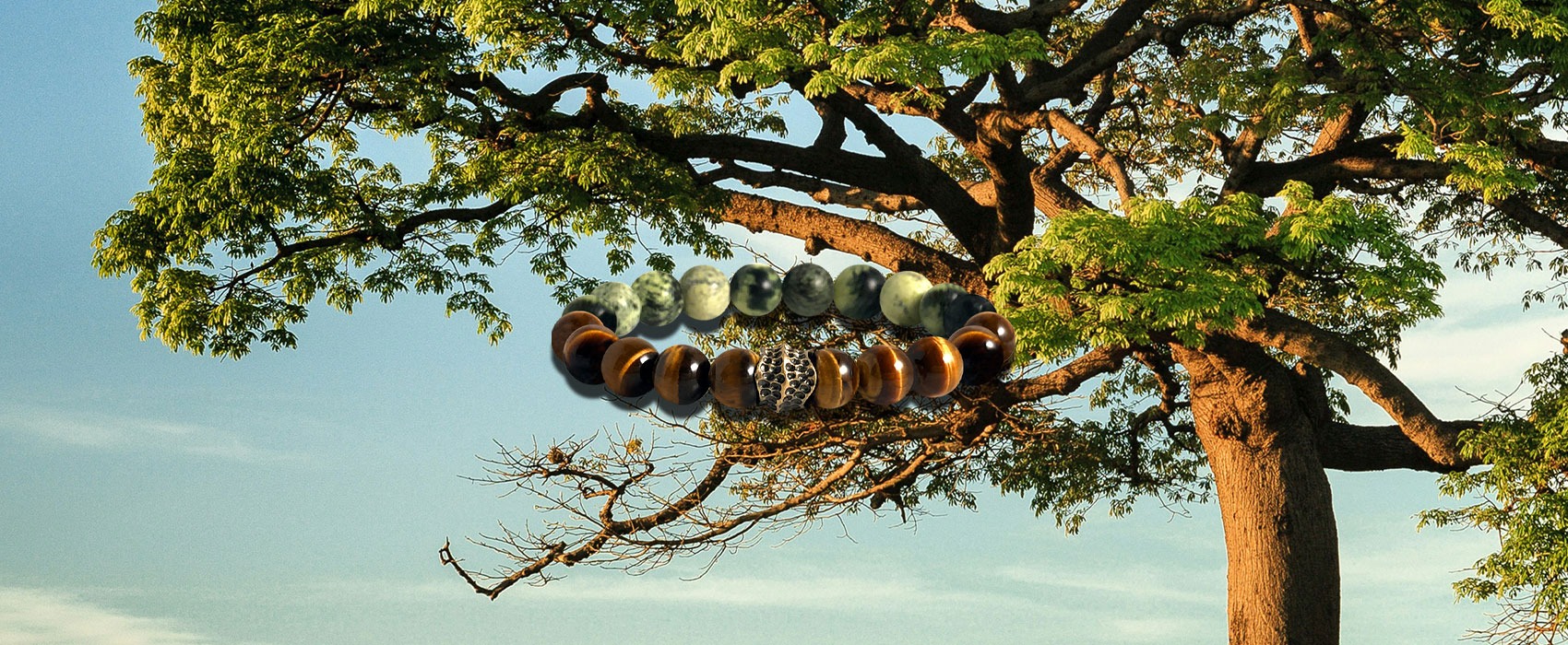 Harness the Power of Wood - Growth, Strength, and Vitality