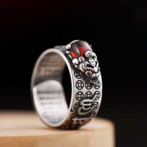 Wealth Guardian Ring