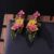 Flower Earrings