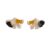 Shell Song Earrings