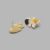 Shell Song Earrings