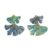 Seashell Earrings