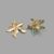 Maple Leaf Shell Earrings